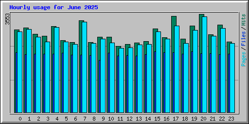 Hourly usage for June 2025